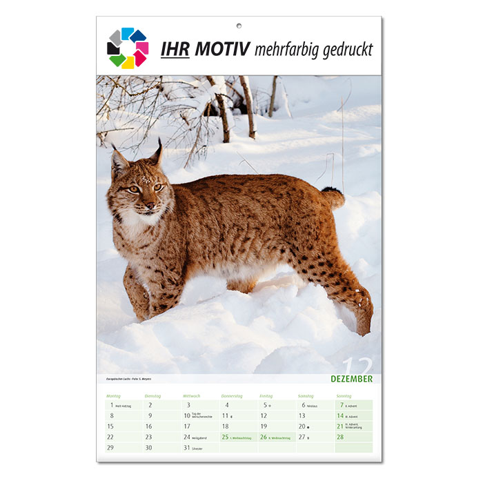  Bildkalender 