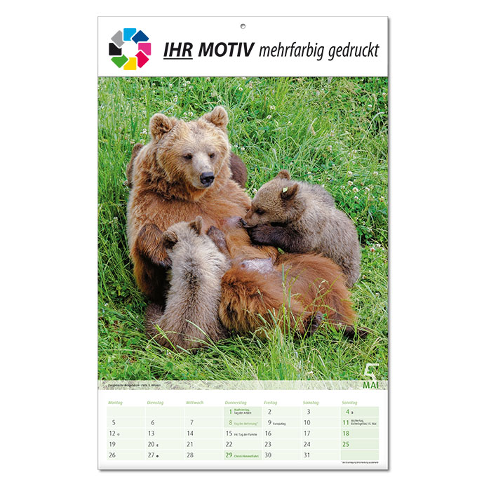  Bildkalender 