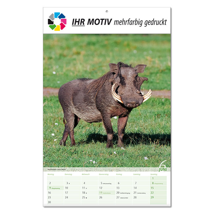  Bildkalender 