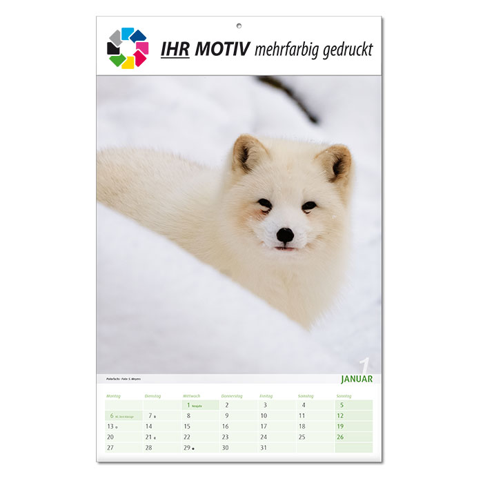  Bildkalender 