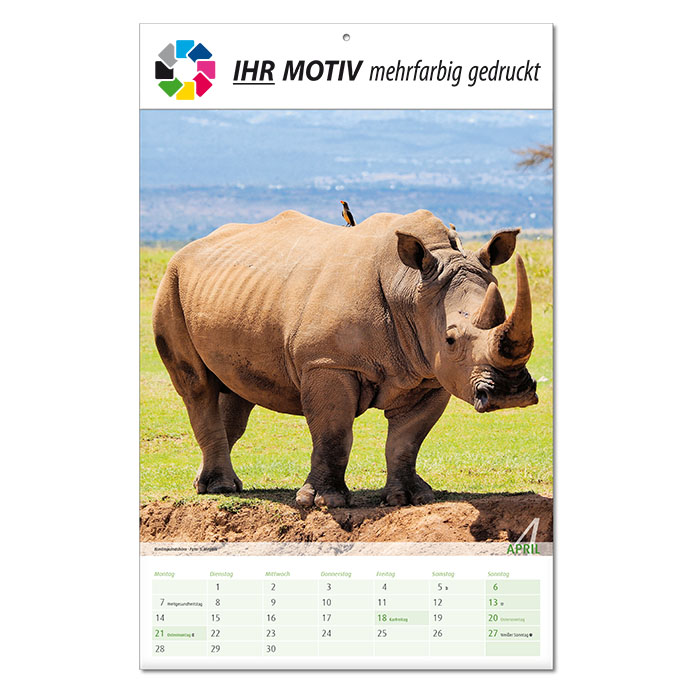  Bildkalender 