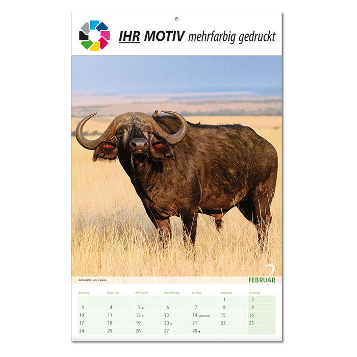  Bildkalender 