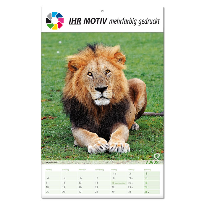  Bildkalender 