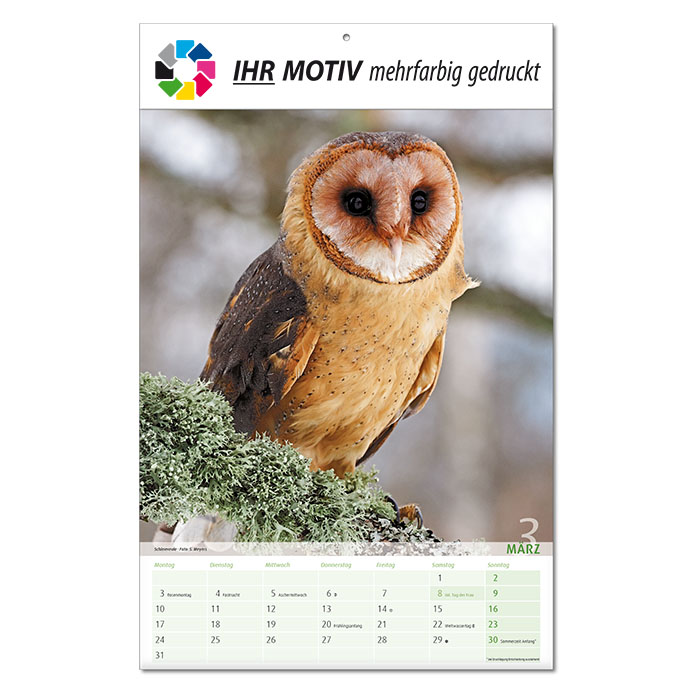  Bildkalender 