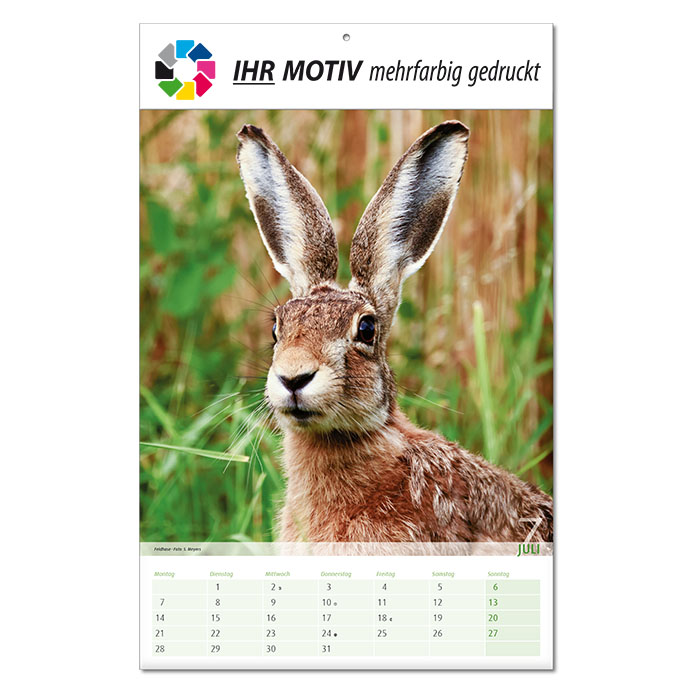  Bildkalender 