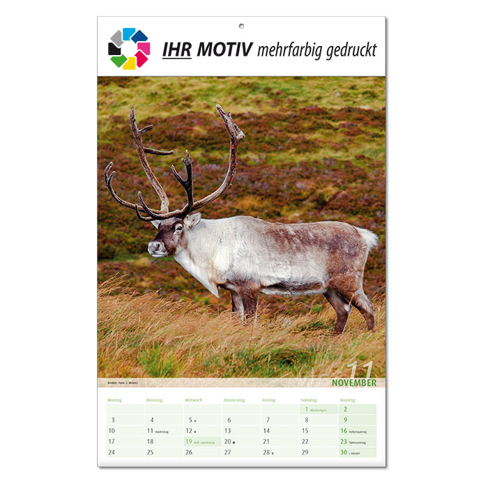  Bildkalender 