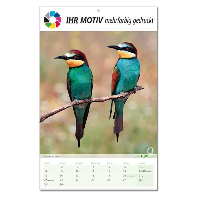  Bildkalender 