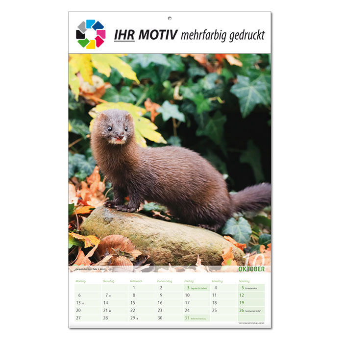  Bildkalender 