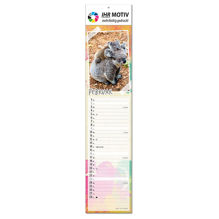  Bildkalender 