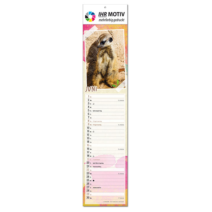  Bildkalender 