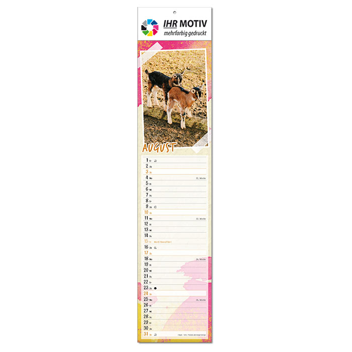  Bildkalender 