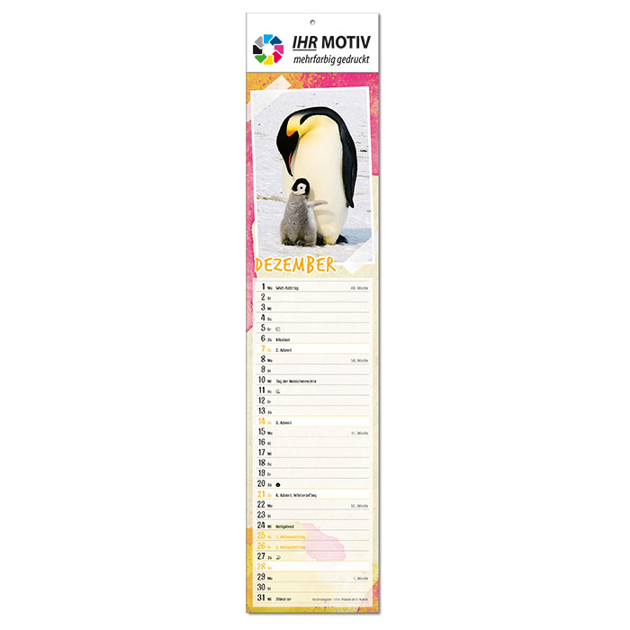  Bildkalender 