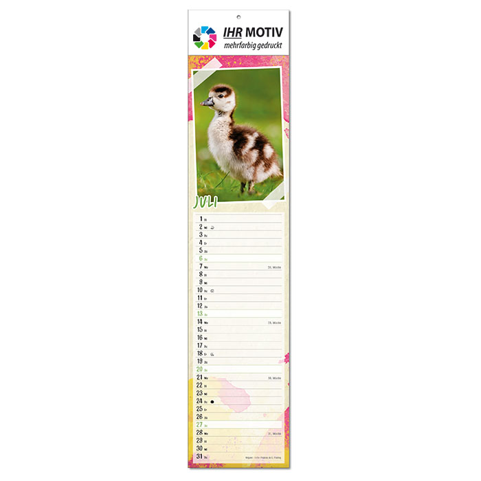  Bildkalender 