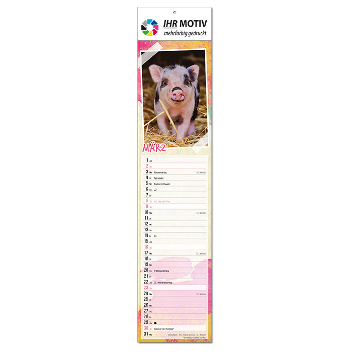  Bildkalender 