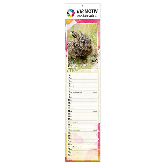  Bildkalender 