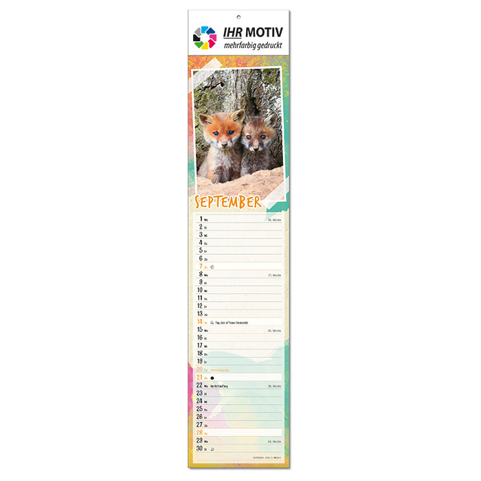  Bildkalender 
