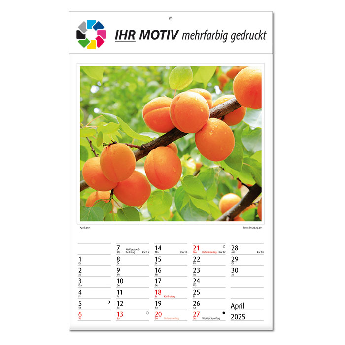 Bildkalender 