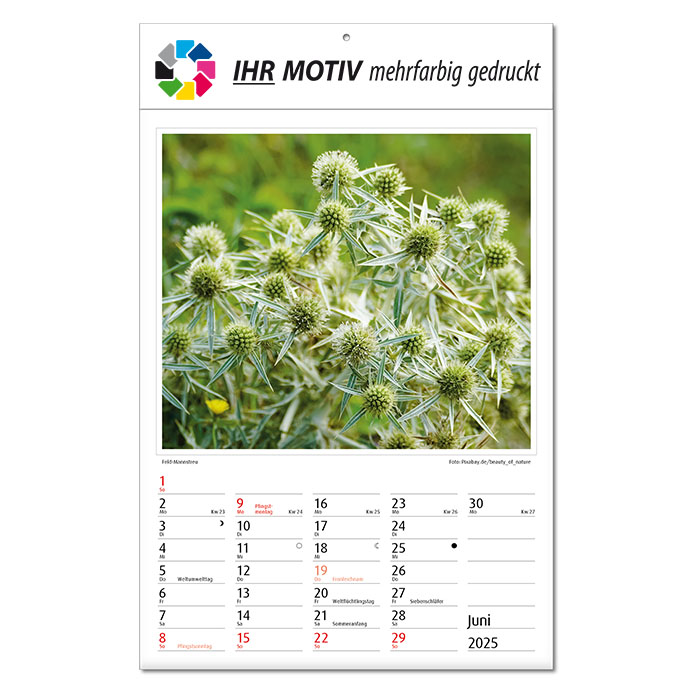 Bildkalender 