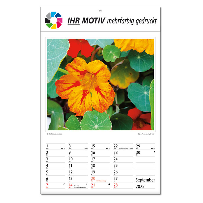 Bildkalender 