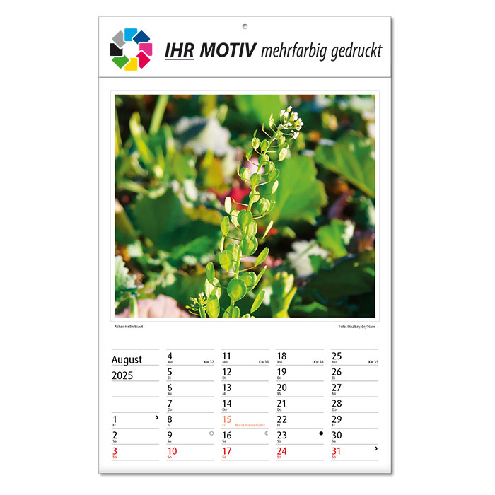 Bildkalender 
