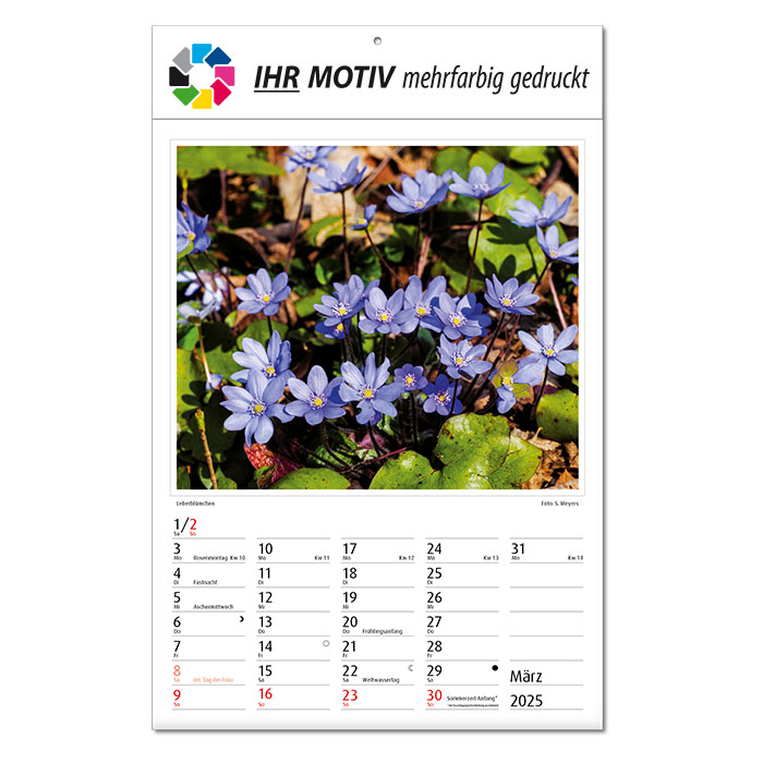 Bildkalender 