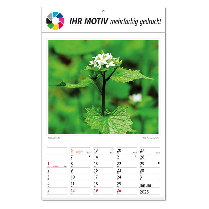 Bildkalender 
