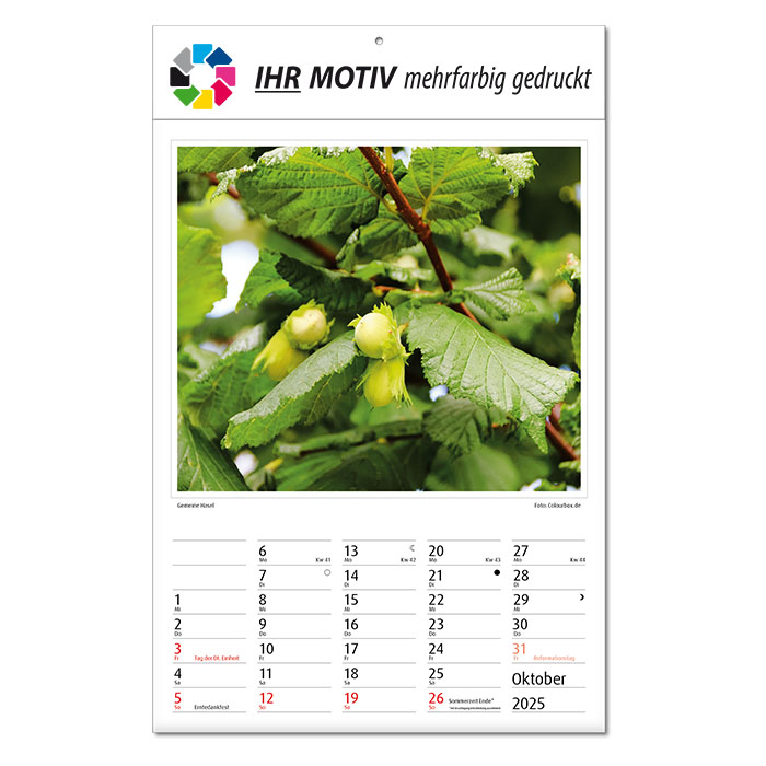 Bildkalender 