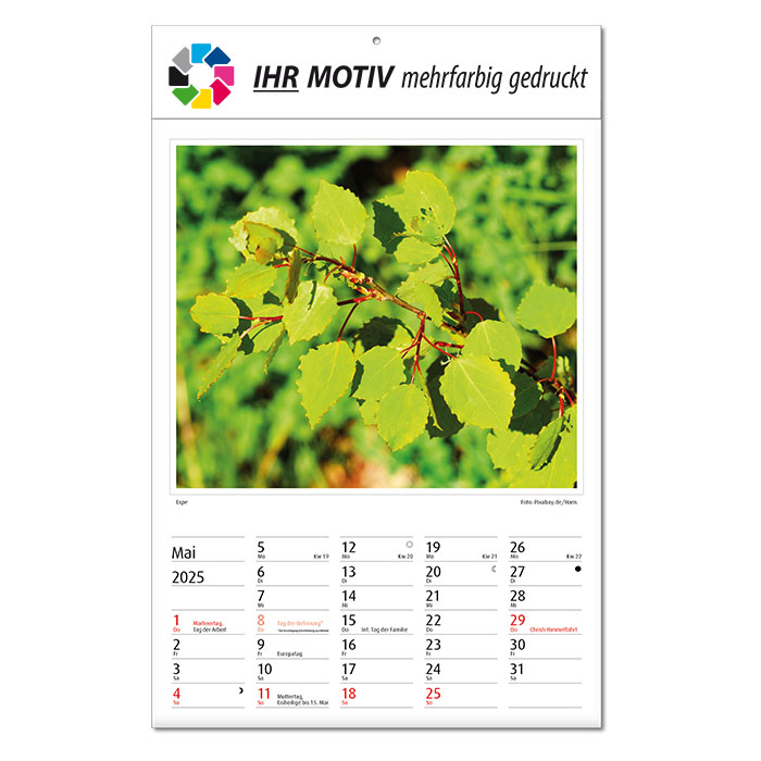 Bildkalender 