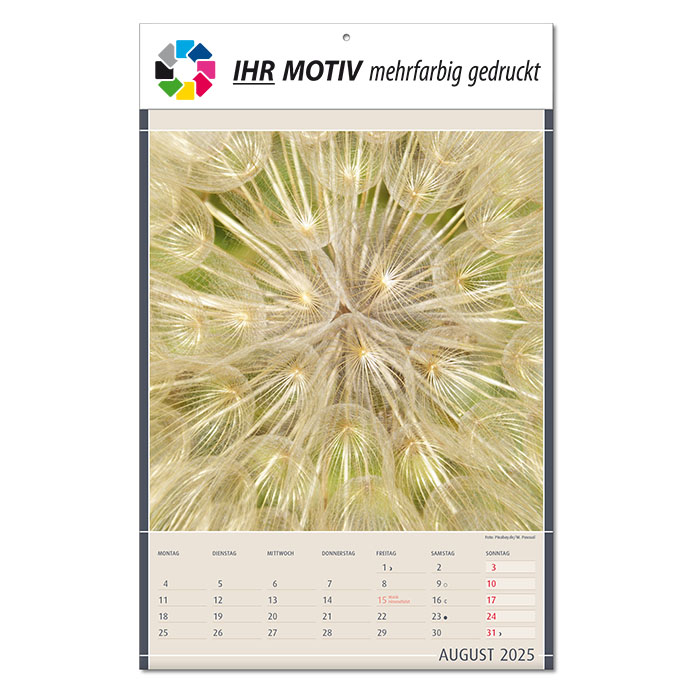 Bildkalender 