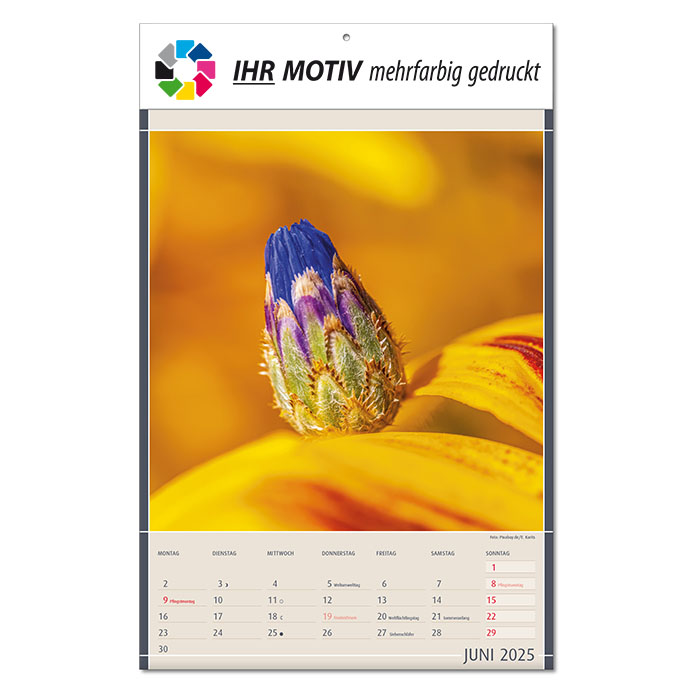 Bildkalender 