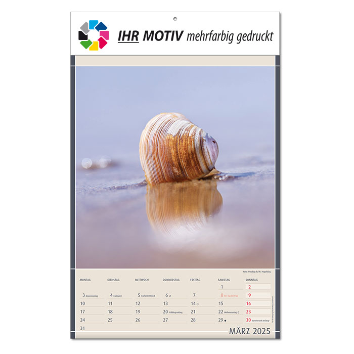Bildkalender 
