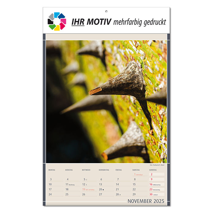 Bildkalender 