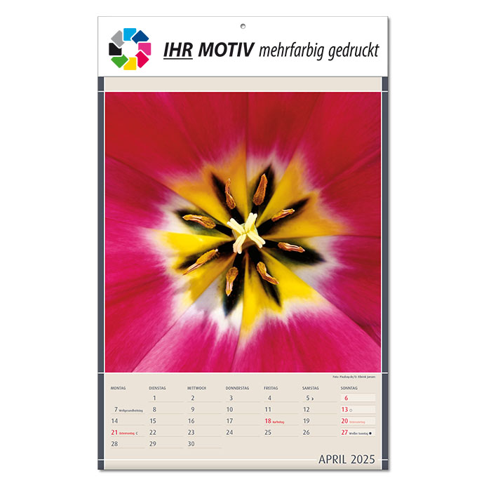 Bildkalender 