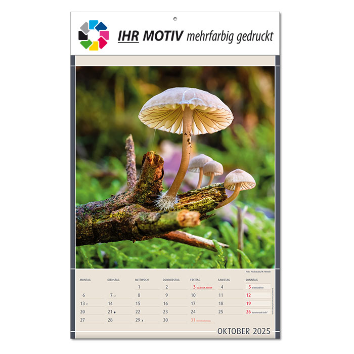 Bildkalender 