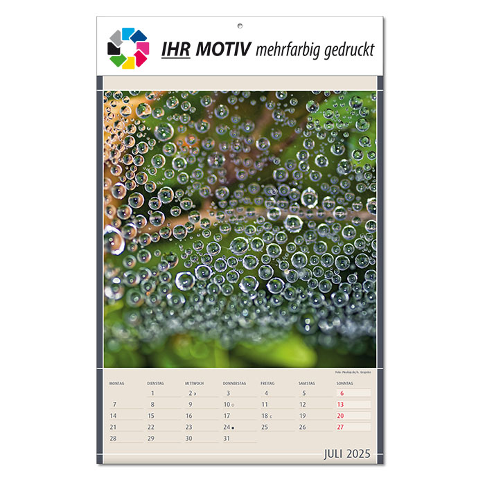 Bildkalender 