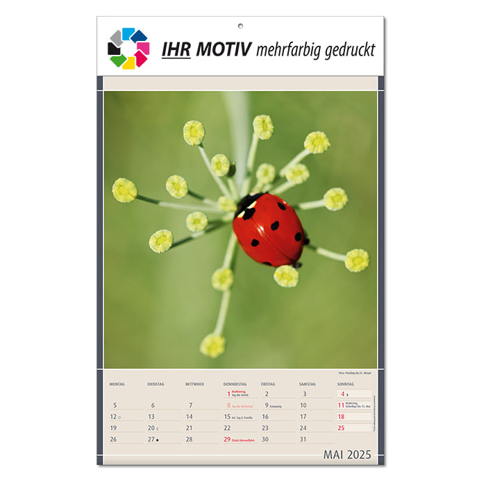 Bildkalender 