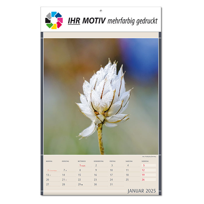 Bildkalender 