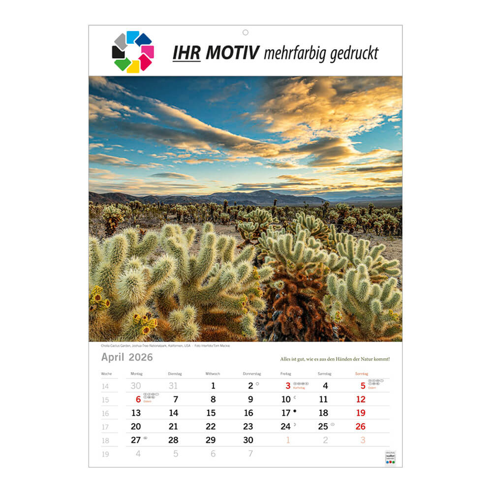 Bildkalender 
