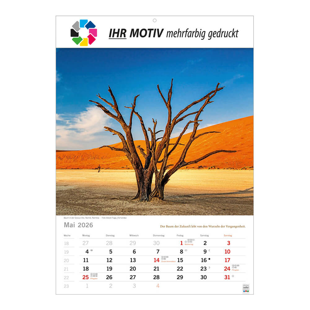 Bildkalender 