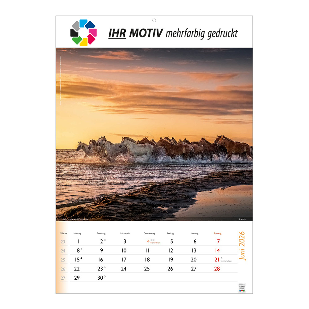 Bildkalender 