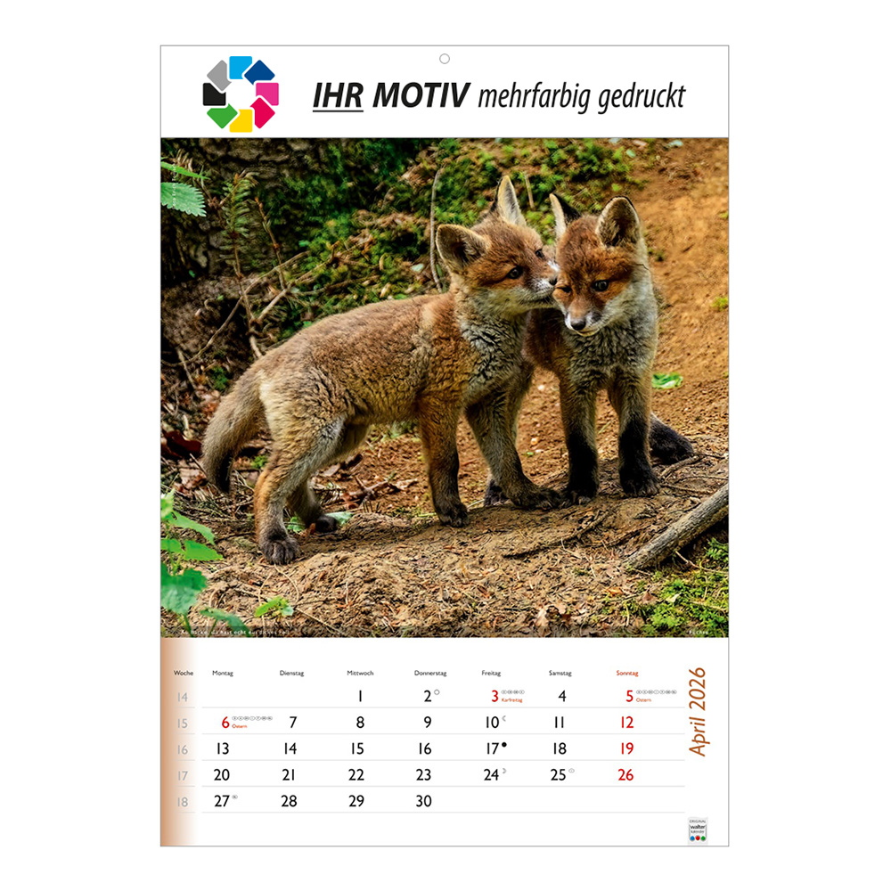 Bildkalender 