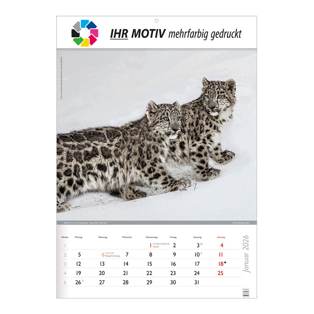 Bildkalender 