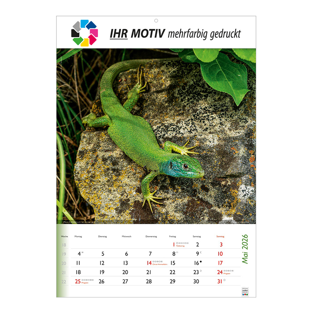 Bildkalender 
