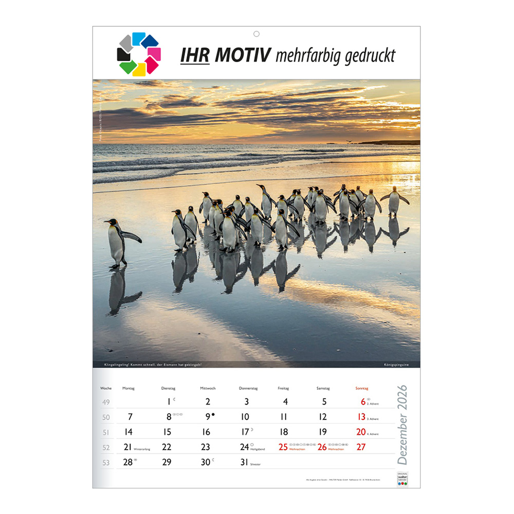 Bildkalender 