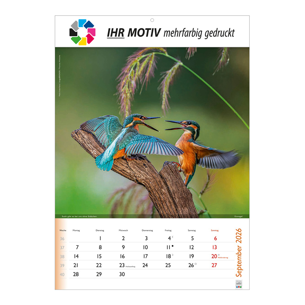 Bildkalender 