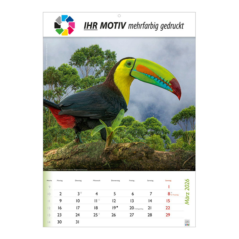 Bildkalender 