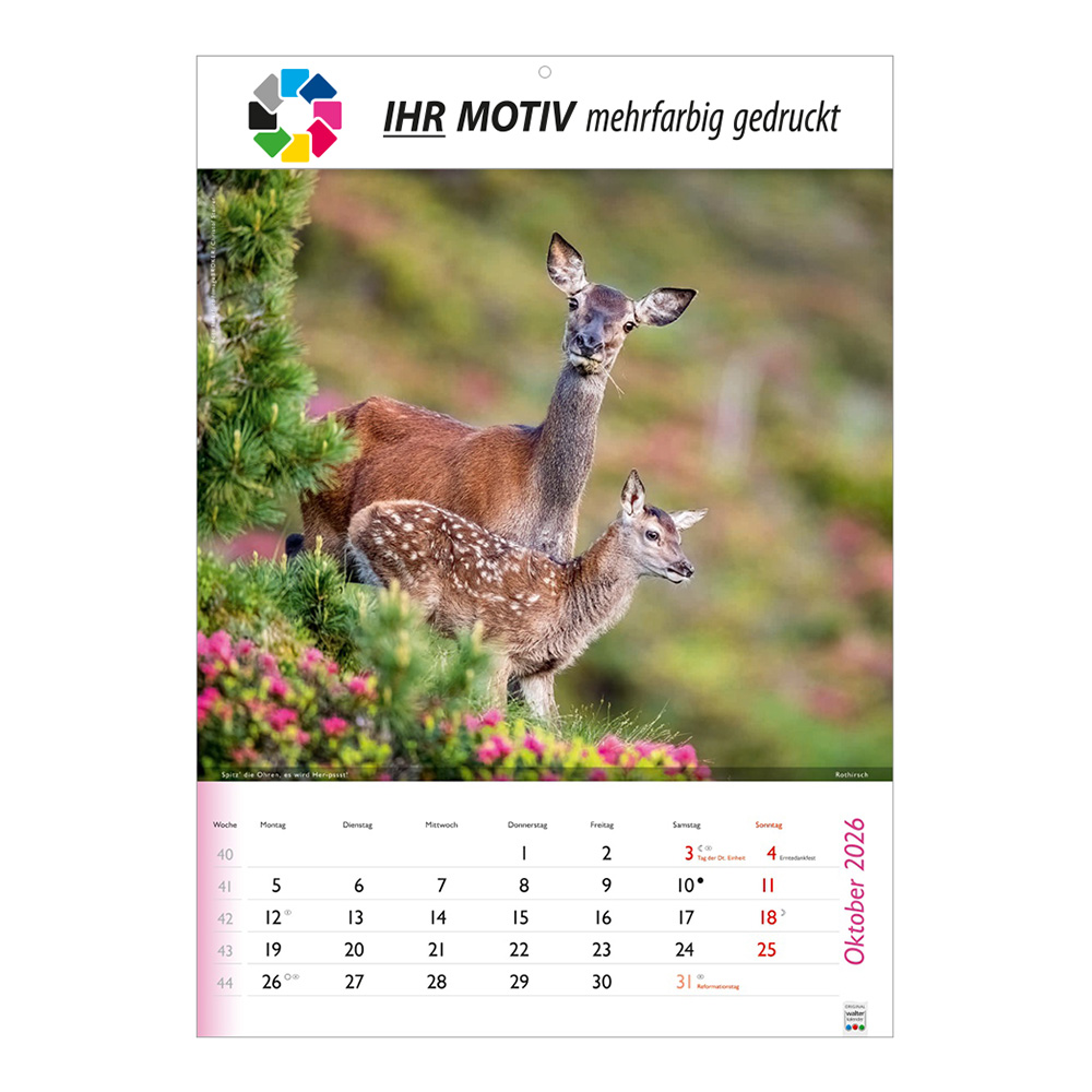 Bildkalender 