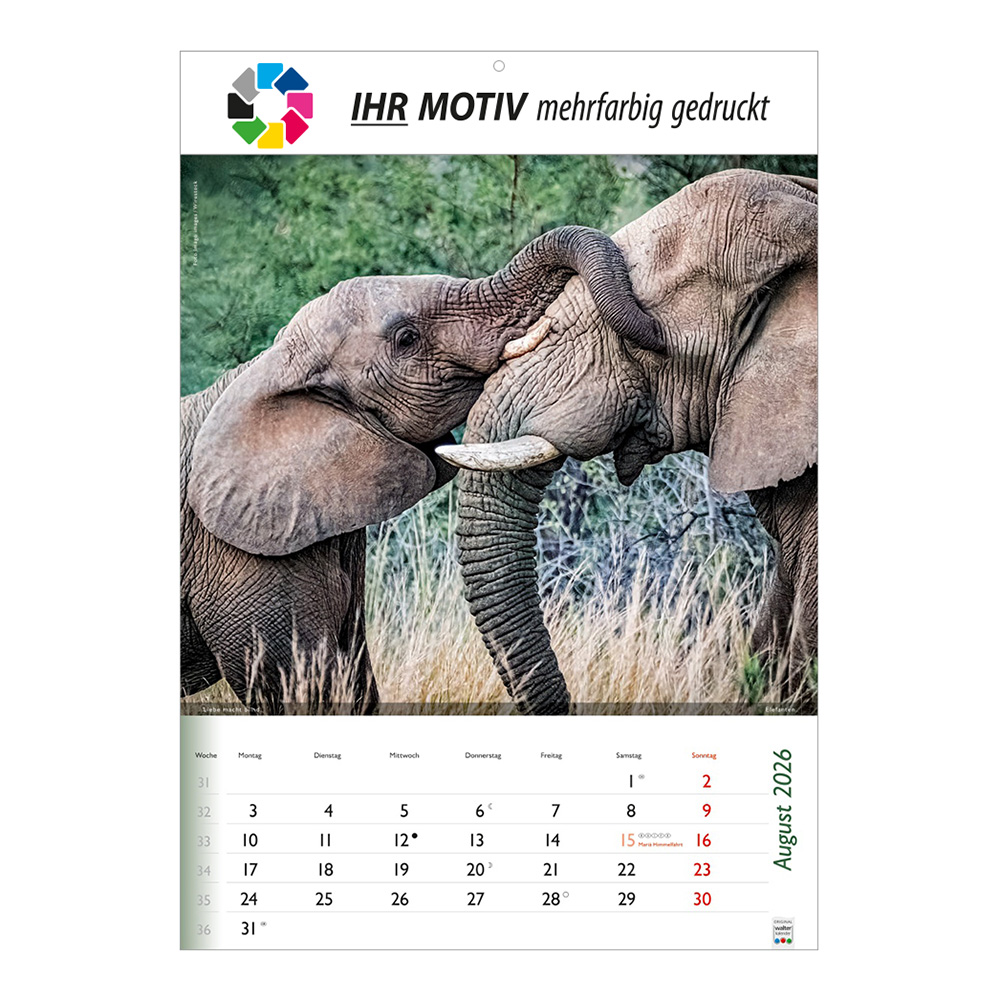 Bildkalender 