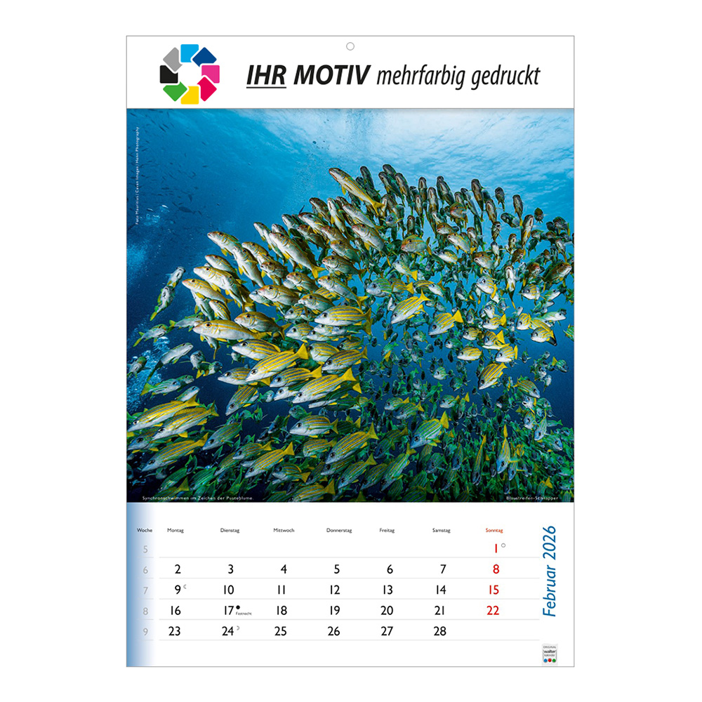 Bildkalender 