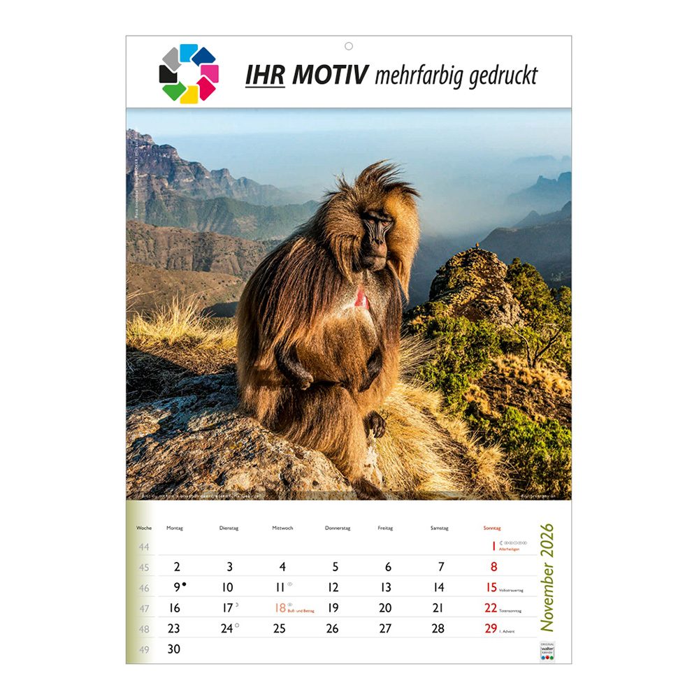 Bildkalender 